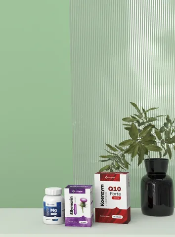 Active Sport & Recovery - obrázek článku