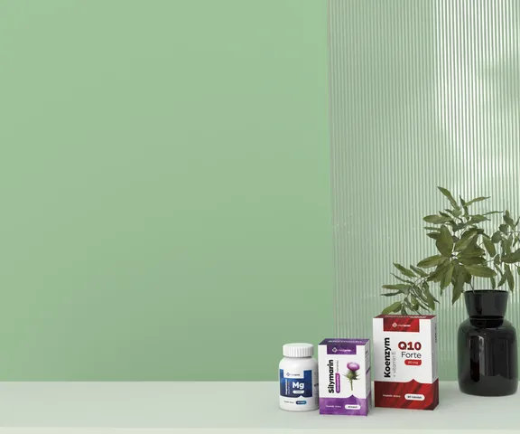 Active Sport & Recovery - obrázek článku