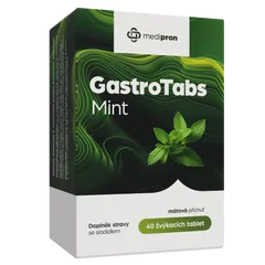 GastroTabs Mint - produktový obrázek